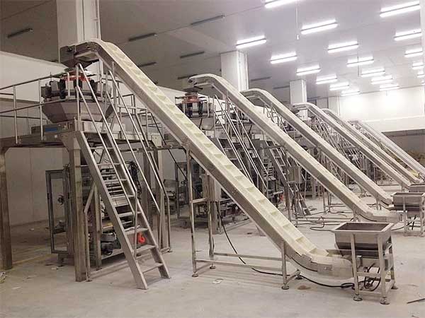 智能化全自動速凍食品好色先生视频下载提升企業生產效率